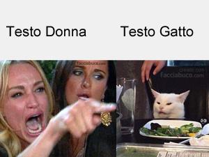 generatore donna che urla al gatto